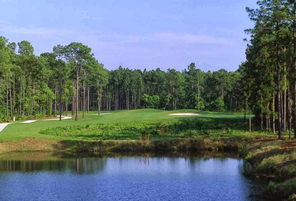 palmetto-hall-golf-and-country-club-6