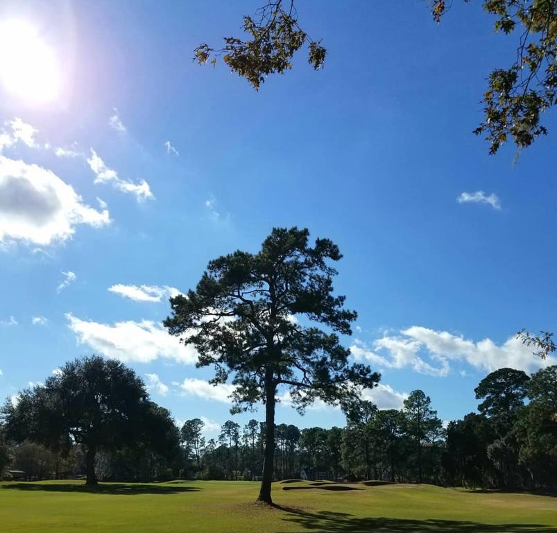 lavida-country-club-2