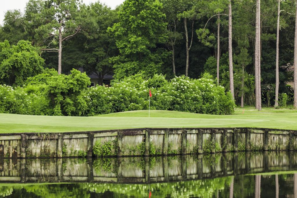 magnolia-point-golf-and-country-club-1755496066067