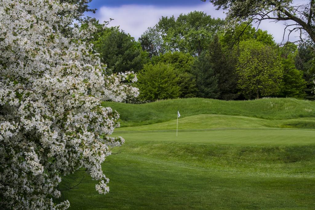 forest-akers-east-golf-course-4