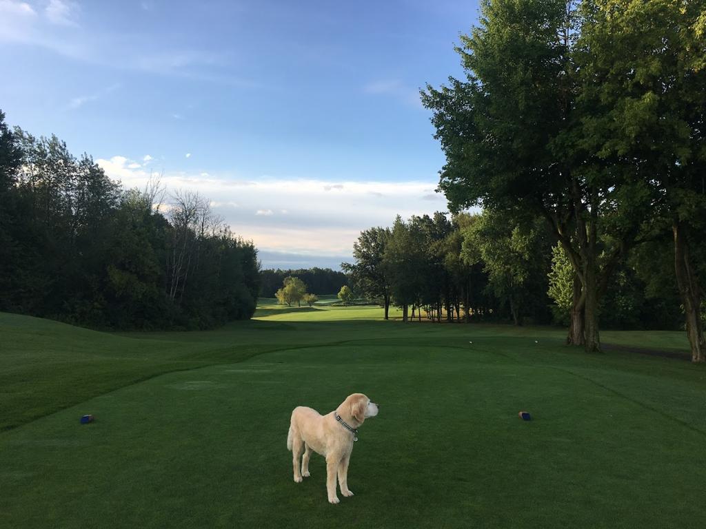 woodside-golf-course-1755466379913