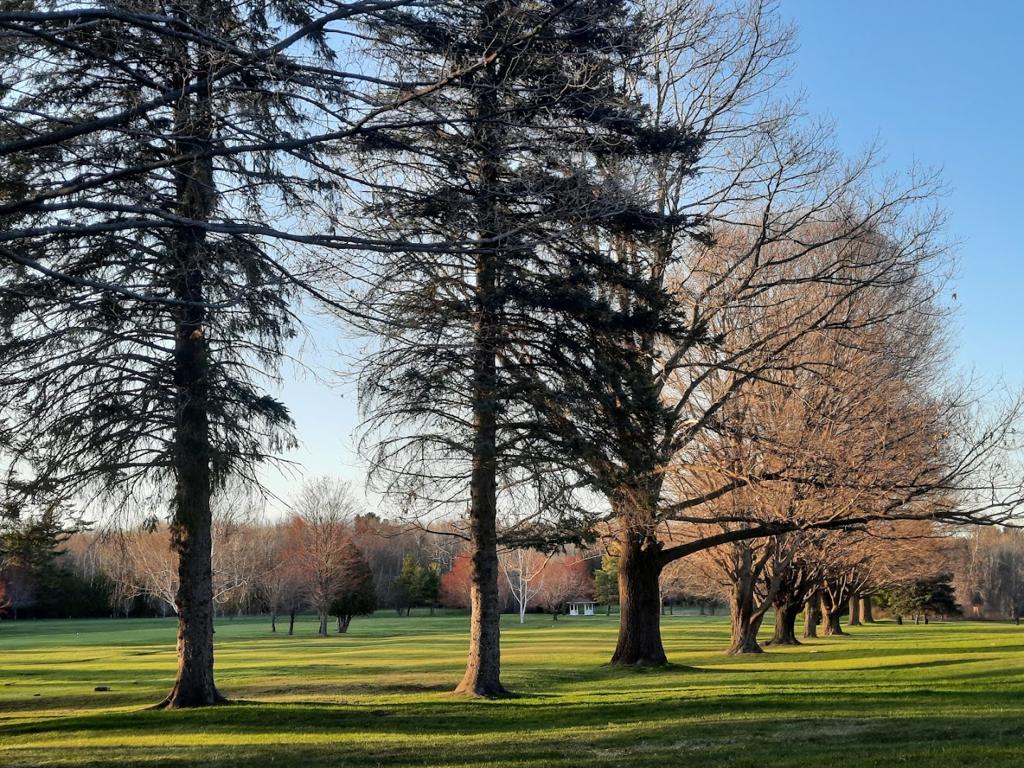 mullett-lake-country-club-1