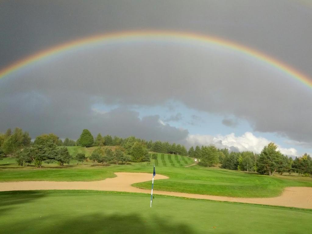 timber-wolf-golf-club-2