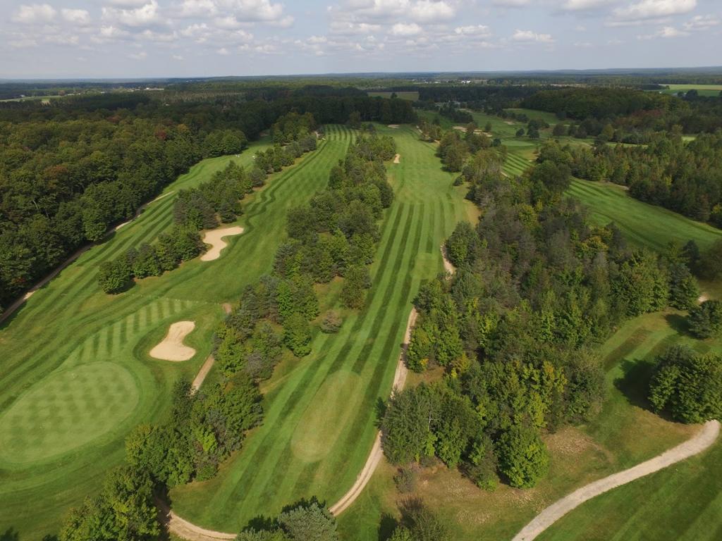 timber-wolf-golf-club-3