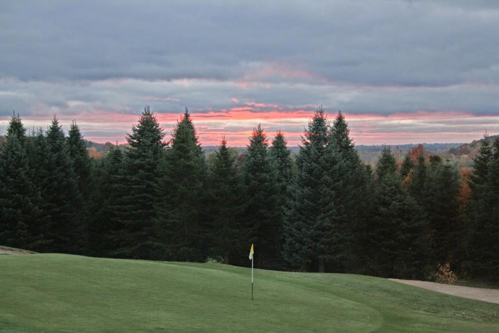 lynx-gc-1755481791291