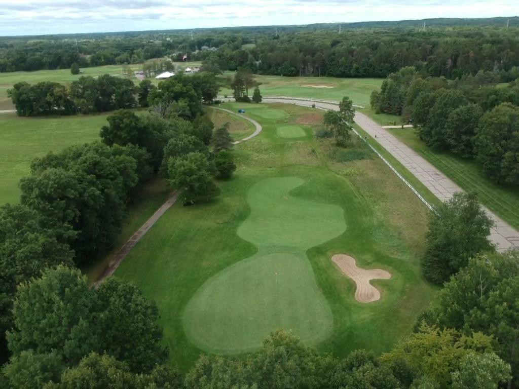 timber-trace-golf-club-4