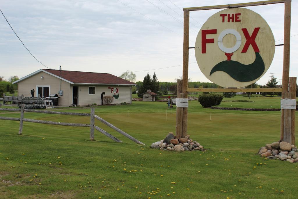 the-fox-1