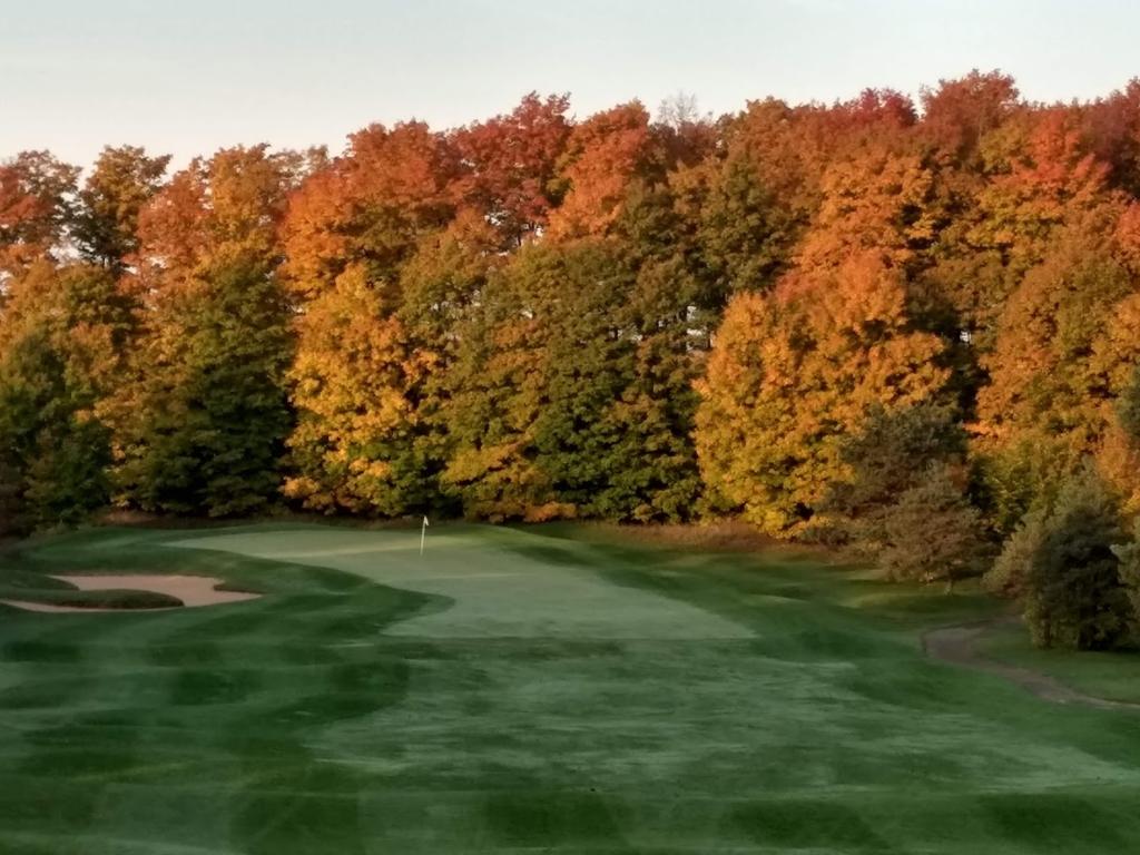 timber-wolf-golf-club-1755490789036