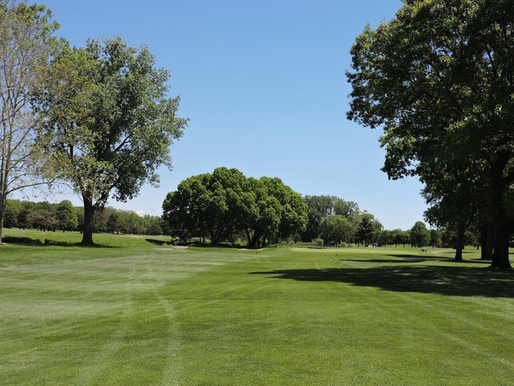 giant-oak-golf-club-4