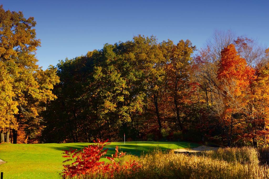 lincoln-golf-club-4