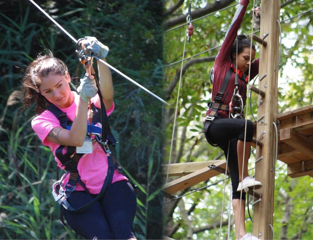 treerunner-adventure-park-putt-forest-1755495958817