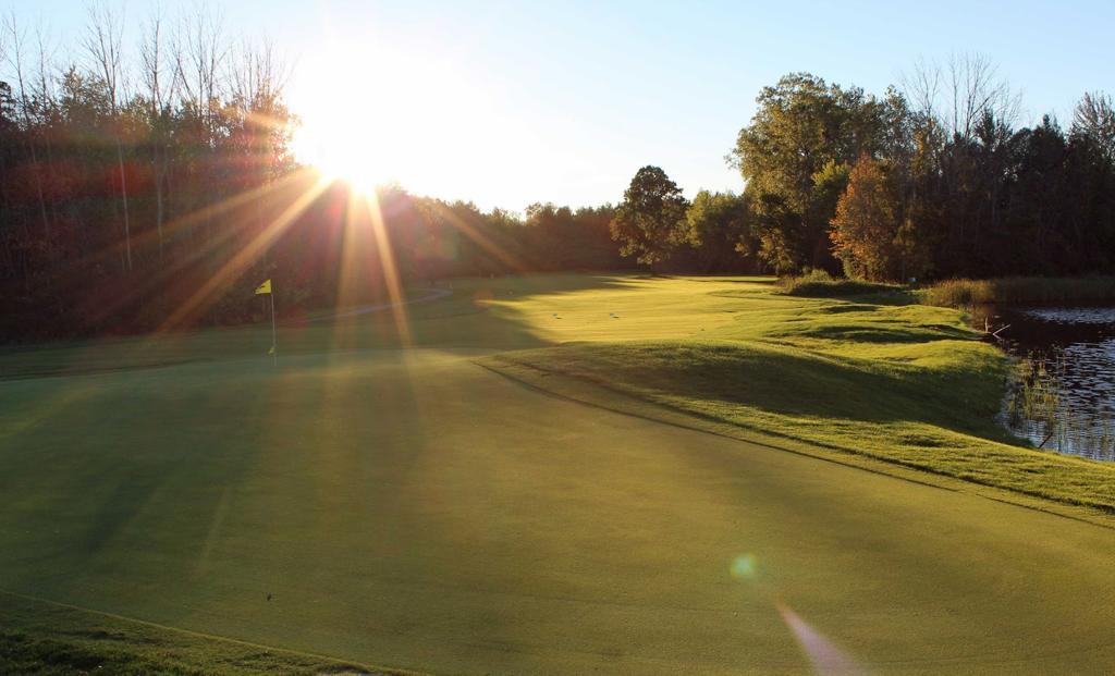 pohlcat-golf-course-6