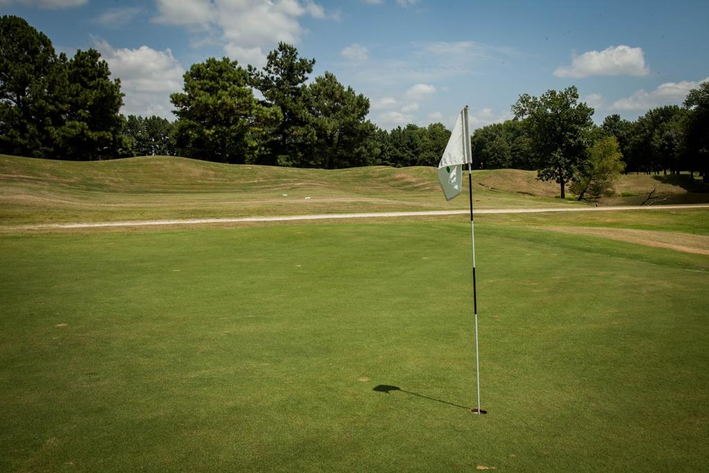 litl-links-golf-club-3