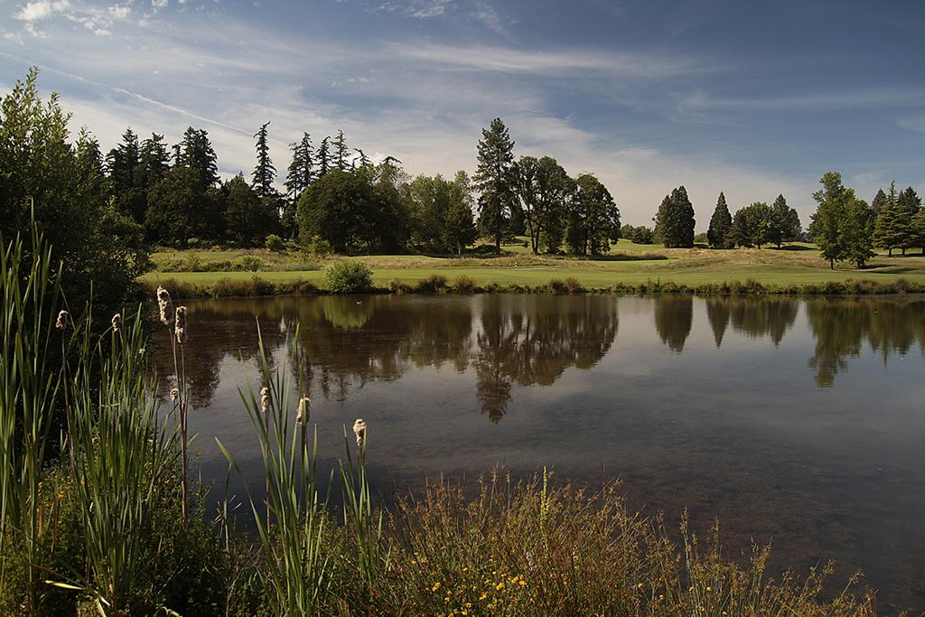 redtail-golf-center-1