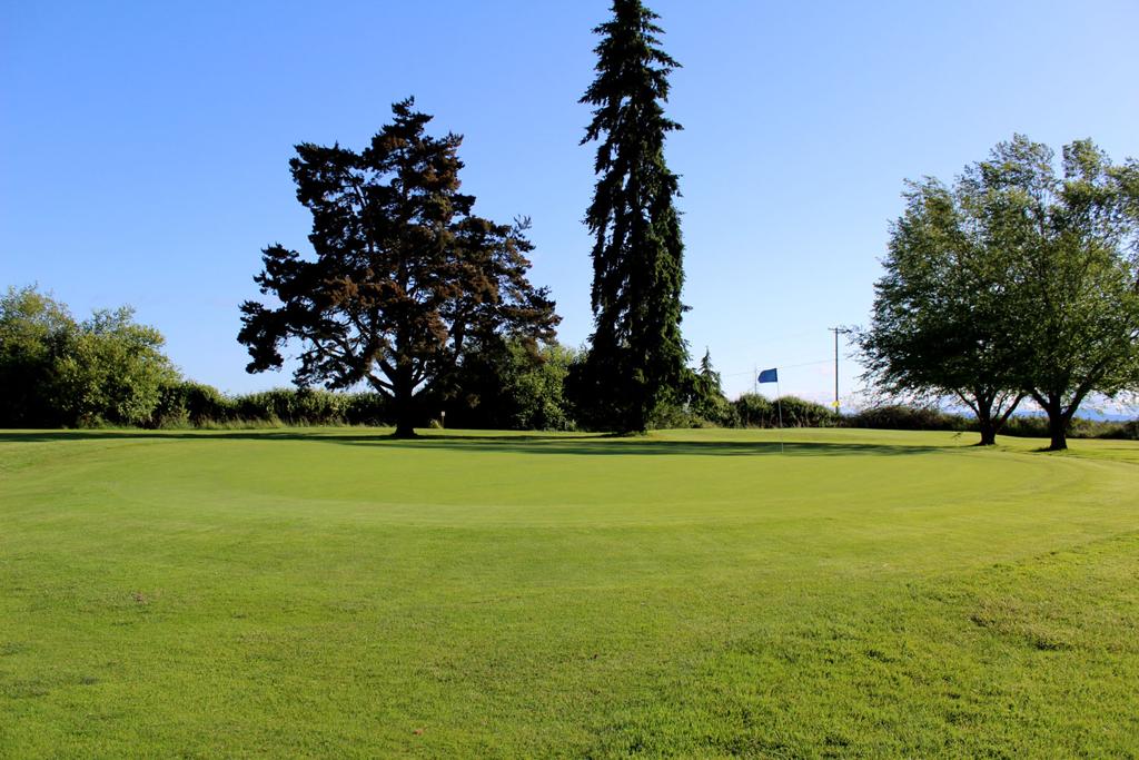 fiddlers-green-golf-center-5