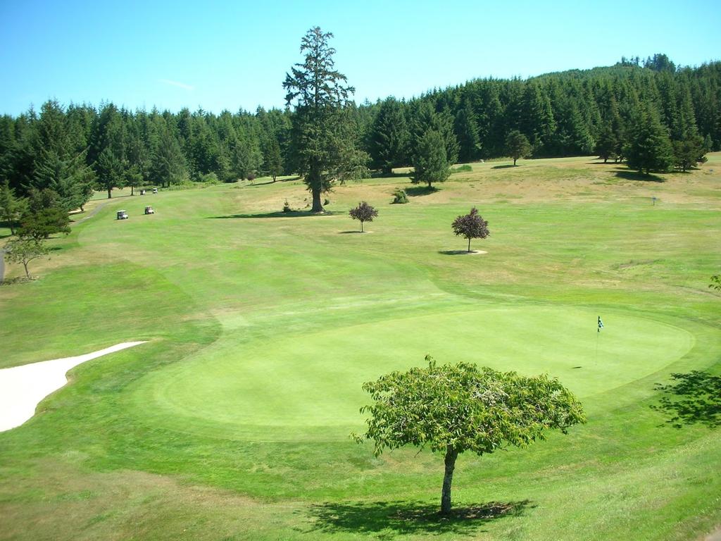 reedsport-golf-course-public-welcome-formerly-forest-hills-cc-2