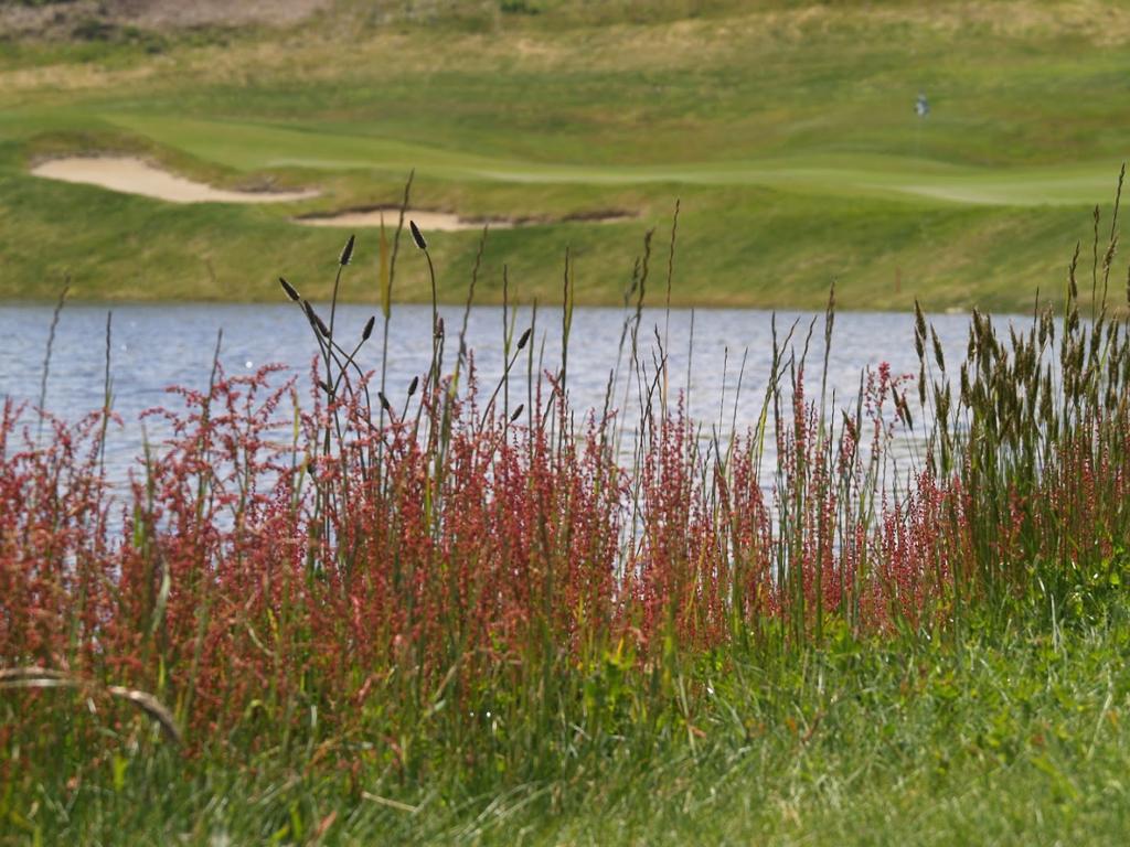 crestview-golf-club-1755495895024