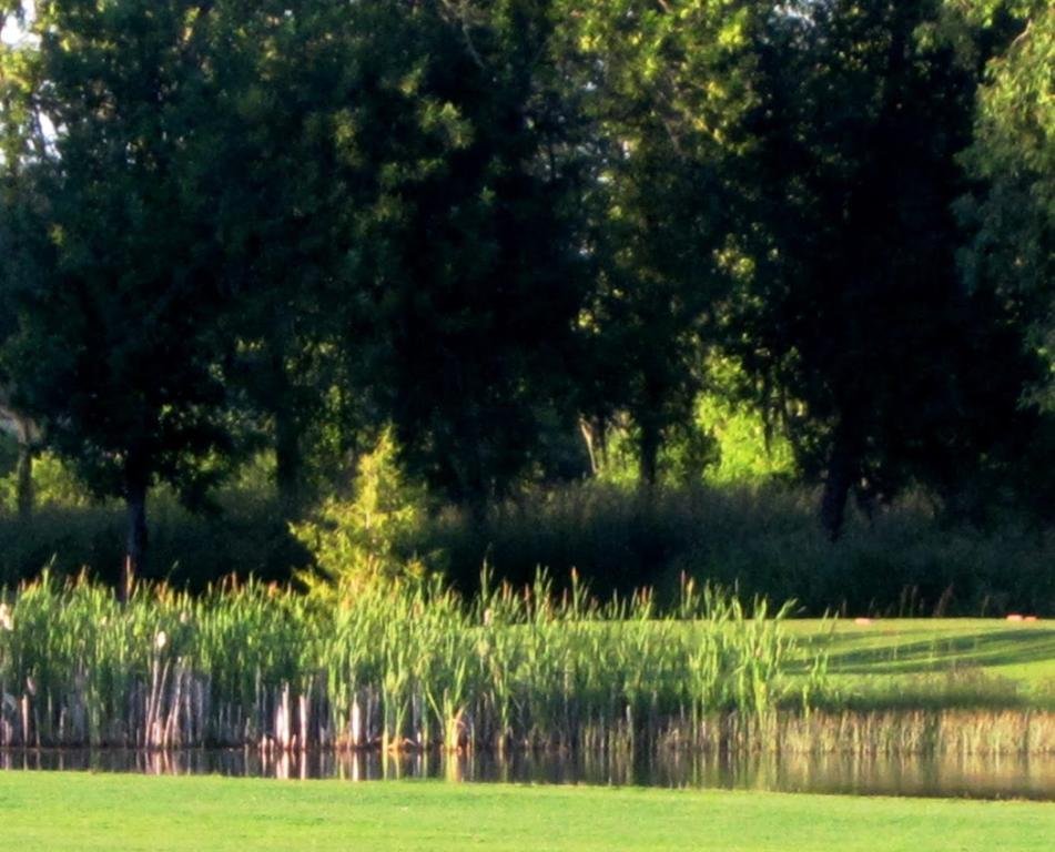 cross-creek-golf-course-1