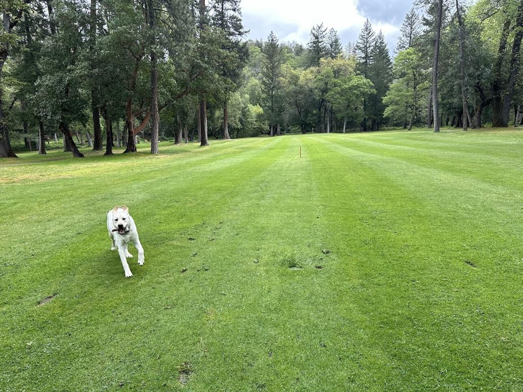 laurel-hill-golf-course-1755497074090