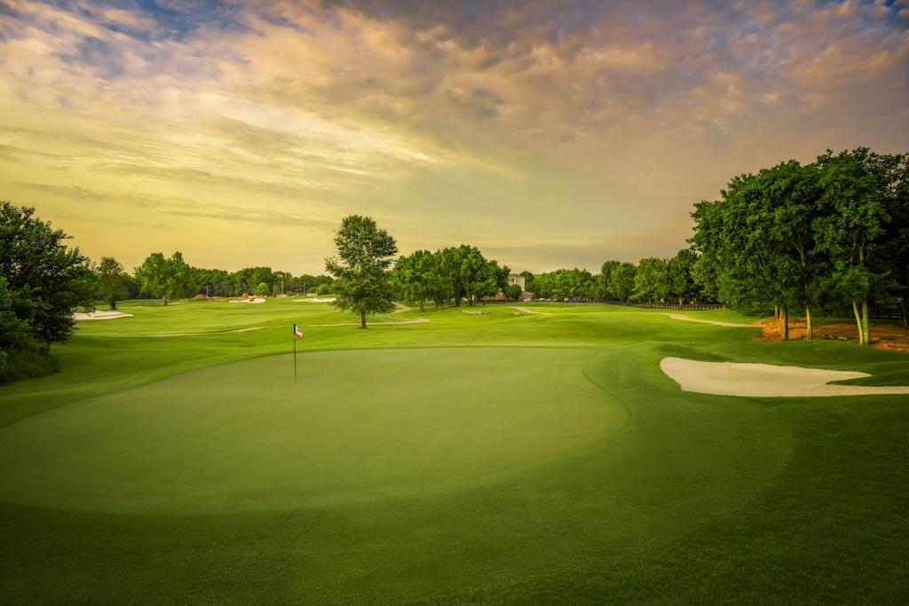 towhee-club-1755465363956