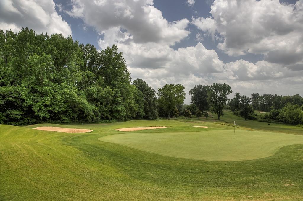 forest-hill-golf-course-4