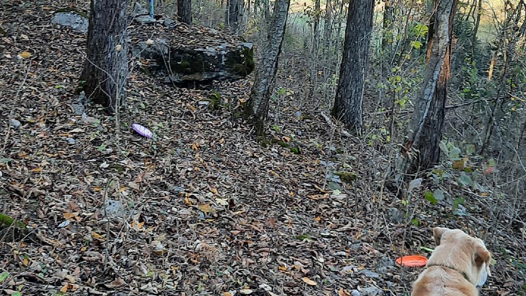 burde-ridge-disc-golf-1755491069036