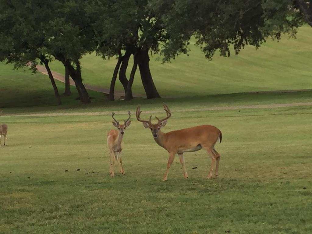 blue-lake-golf-club-5