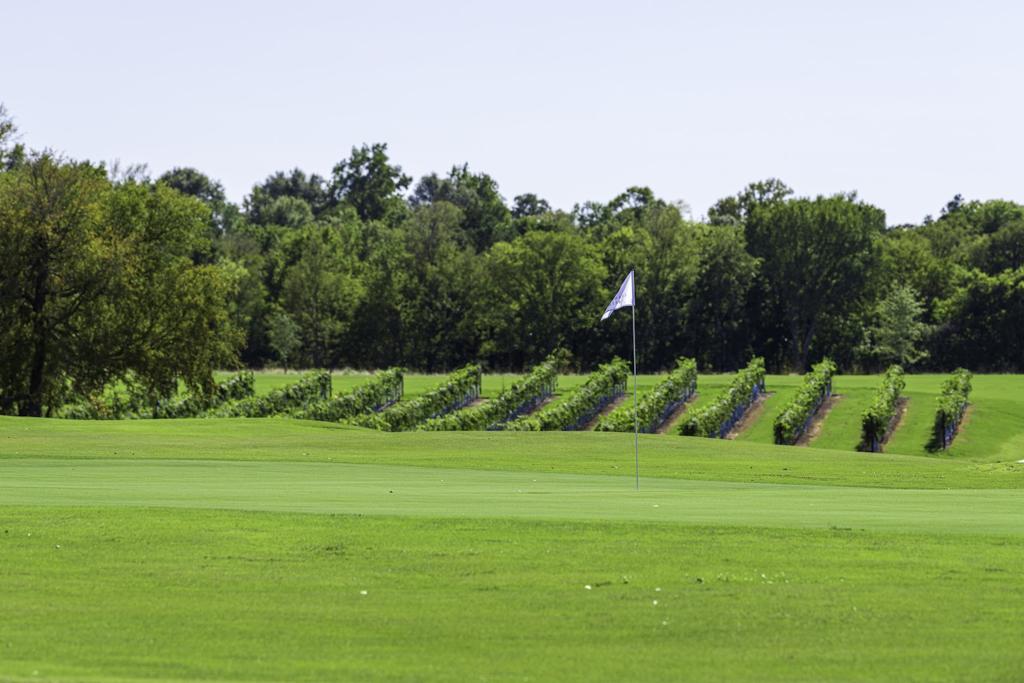 lehman-park-golf-course-3