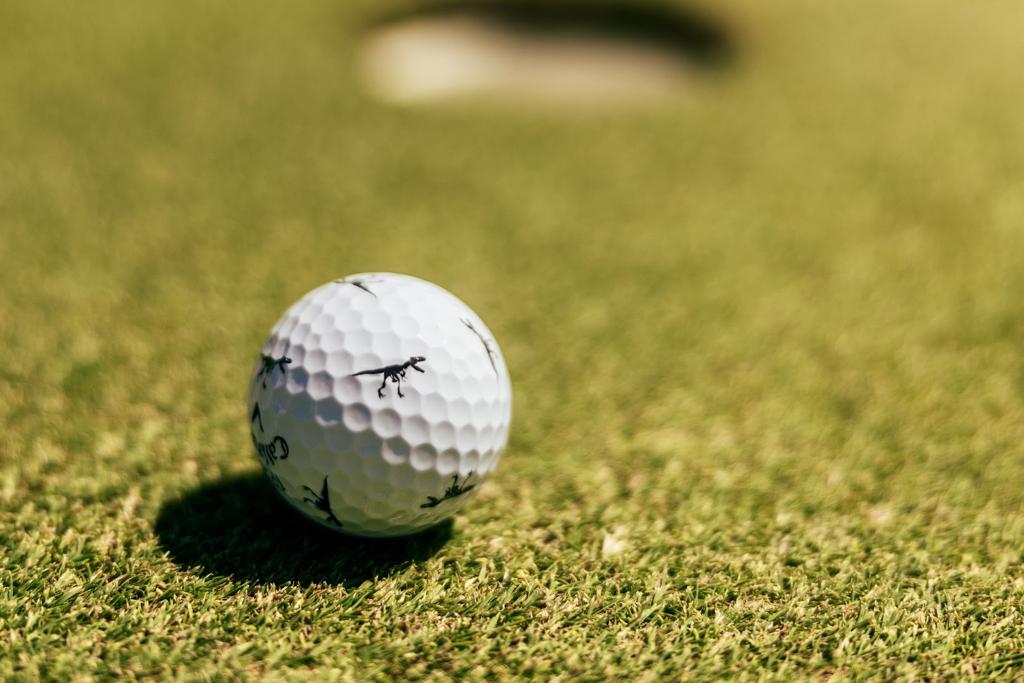 dinaland-golf-course-2