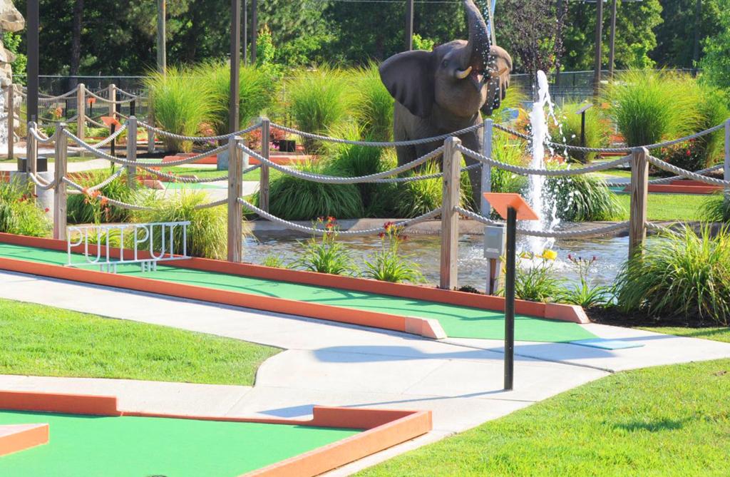 putt-putt-golf-course-charlottesville-va-1755476743017