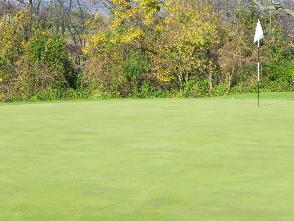 shenvalee-golf-resort-1755476757784